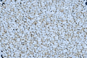 Safflower Seed